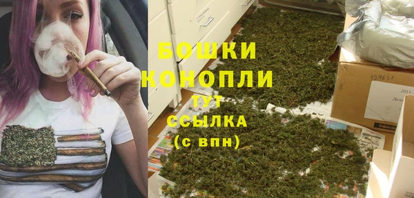 шишки Магас
