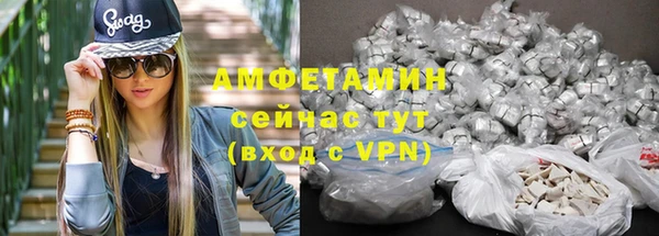 шишки Магас