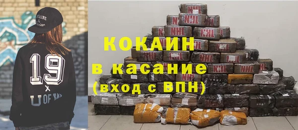 индика Михайлов