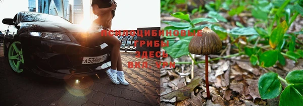 кокаин колумбия Алексин