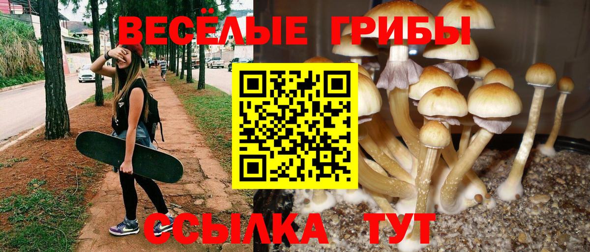 Псилоцибиновые грибы Psilocybe Волжский