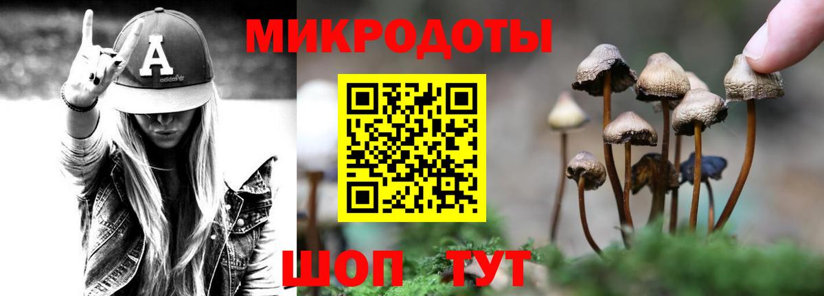 Псилоцибиновые грибы Psilocybe Волжский