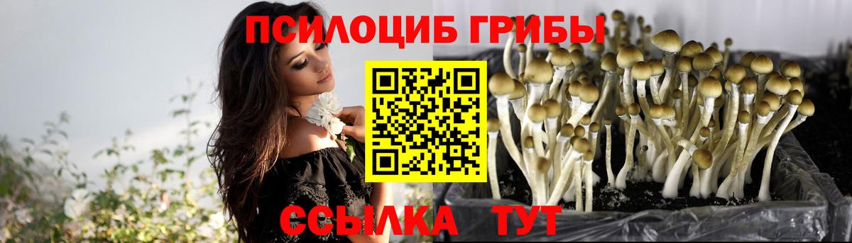Волжский  Галлюциногенные грибы Psilocybe  Вход с VPN  Псилоцибиновые грибы ЛСД 